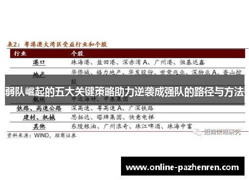 弱队崛起的五大关键策略助力逆袭成强队的路径与方法