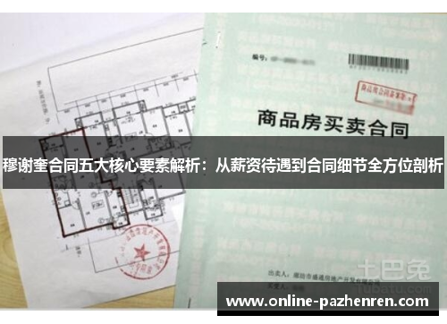 穆谢奎合同五大核心要素解析：从薪资待遇到合同细节全方位剖析