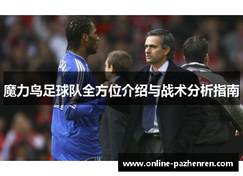 魔力鸟足球队全方位介绍与战术分析指南 魔力鸟足球队全方位介绍与战术分析指南