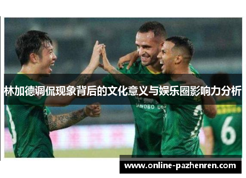 林加德调侃现象背后的文化意义与娱乐圈影响力分析 林加德调侃现象背后的文化意义与娱乐圈影响力分析